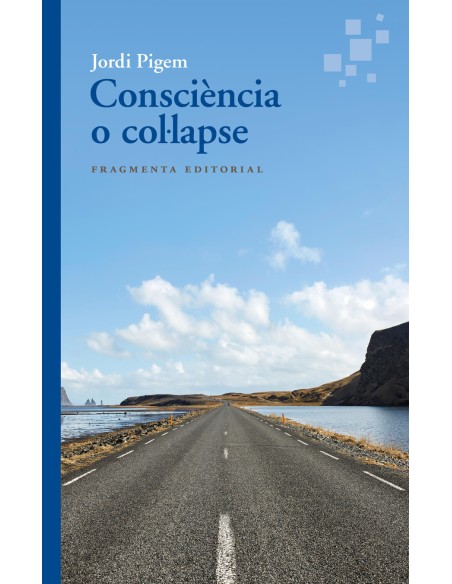 Consciencia o collapse
