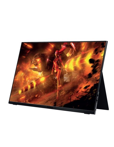 NXMP17FHD1441 monitor o TV portátil Monitor portátil Negro 43,9 cm (17.3") LED 1920 x 1080 Pixeles
