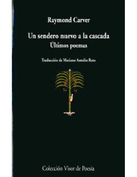 Un sendero nuevo a la cascada