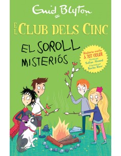 El soroll misterios