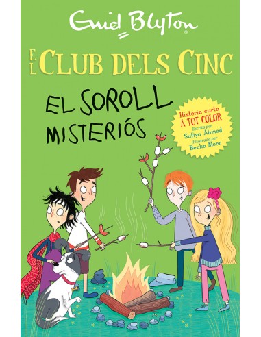 El soroll misterios