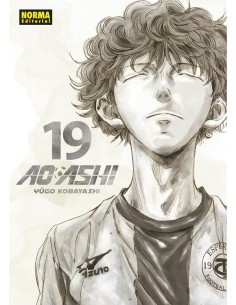 AO ASHI 19