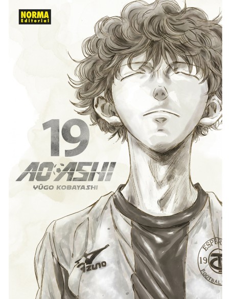 AO ASHI 19