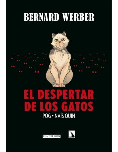 El despertar de los gatos