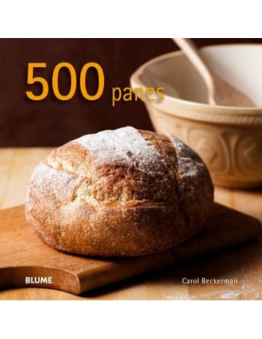 500 panes 2024