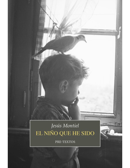 El nino que he sido