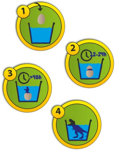  HUEVO SORPRESA DINOSAURIO 