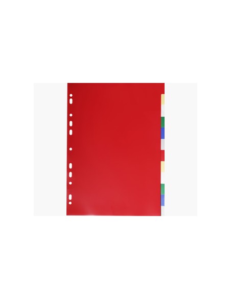 3012E divisor Polipropileno (PP) Multicolor