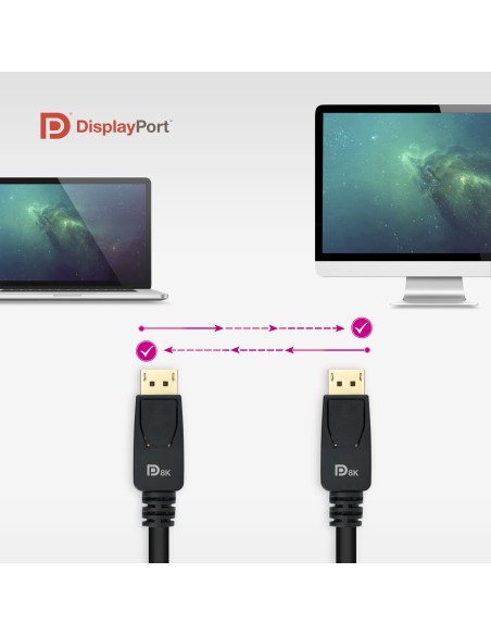 10.15.2503 cable DisplayPort 3 m Negro