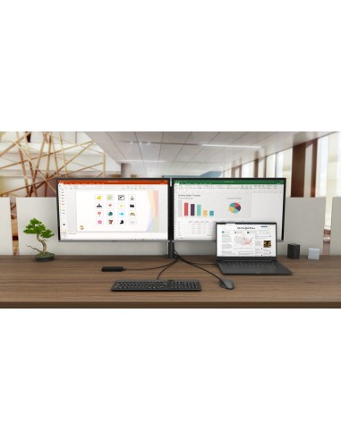 USB-C Dual Display Docking Station with Power Delivery 100 W