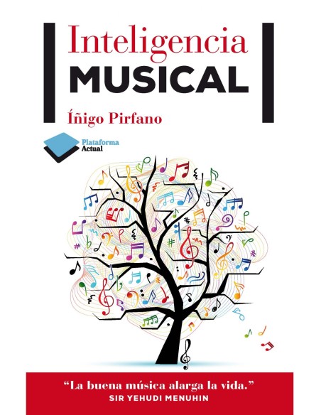Inteligencia musical