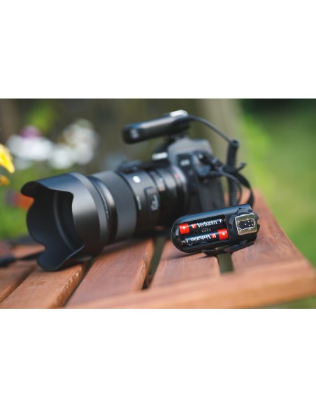 49504 pila doméstica Batería de un solo uso AAA Alcalino