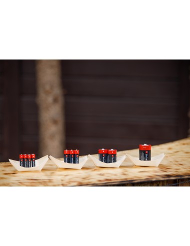 49504 pila doméstica Batería de un solo uso AAA Alcalino