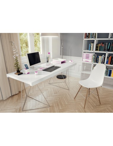 53631023 porta lápices Poliestireno Rosa, Blanco