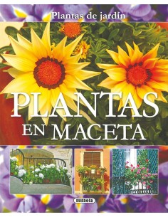 Plantas en maceta