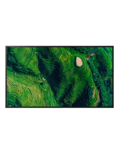 BZ35P Pantalla plana para señalización digital 190,5 cm (75") LED Wifi 500 cd / m² 4K Ultra HD Negro Android 24/7