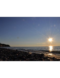 20955 puzzle Puzzle rompecabezas 1000 pieza(s) Paisaje