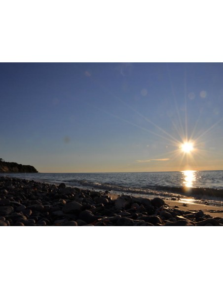 20955 puzzle Puzzle rompecabezas 1000 pieza(s) Paisaje