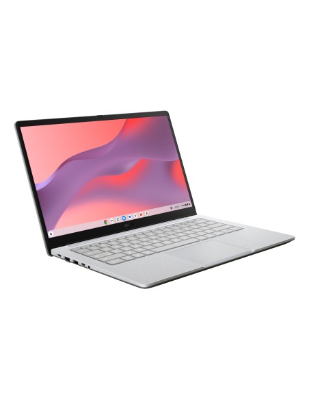 Chromebook CB1405CTA-S60955 - Ordenador Portátil 14" Full HD (Intel N N50, 8GB RAM, 64GB eMMC, UHD Graphics, ChromeOS) Gris Puro