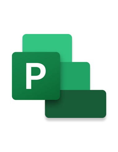 Project Professional 2024 Gestión de proyectos Completo 1 licencia(s)