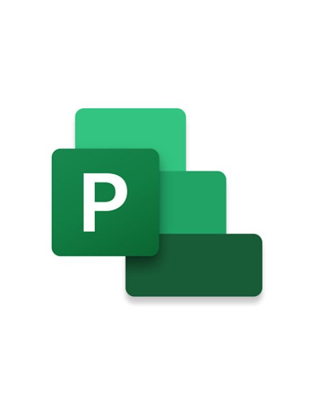 Project Professional 2024 Gestión de proyectos Completo 1 licencia(s)
