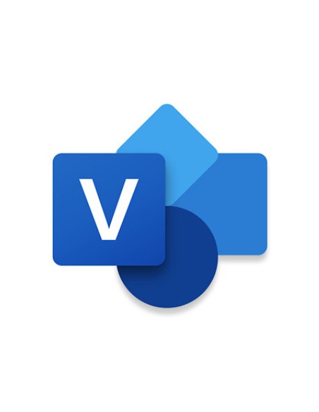 Visio Professional 2024 Representación mediante gráficos Completo 1 licencia(s)