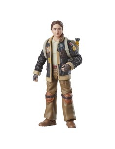 Star Wars Fern