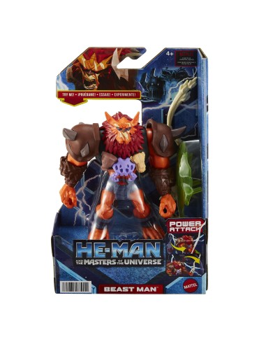 He-Man and the Masters of the Universe HDY36