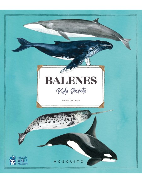 Balenes Vida secreta
