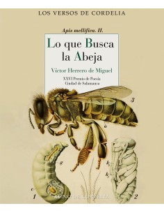 Lo que busca la abeja