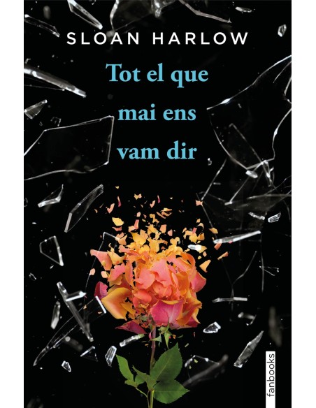 Tot el que mai ens vam dir