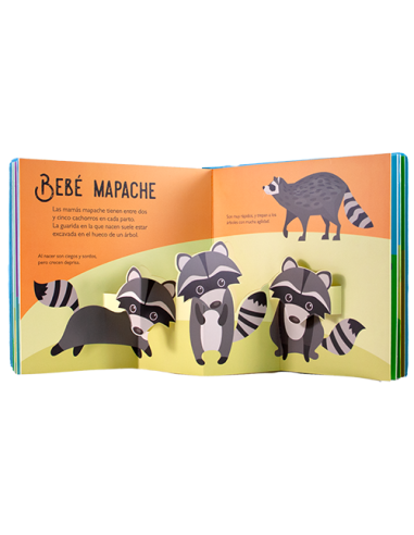 Bebes animales