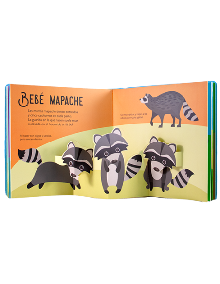Bebes animales