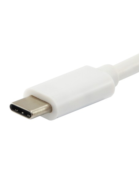 128352 cable USB 2 m USB 3.2 Gen 2 (3.1 Gen 2) USB C Blanco