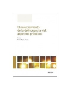 ENJUICIAMIENTO DE LA DELINCUENCIA VIAL EL ASPECTOS PRACTICOS