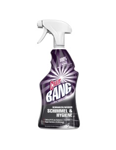 3056812 limpiador general 750 ml Atomizador