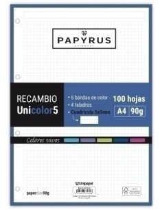 RECAMBIO PAPYRUS A4 100h MULTIT.CD.5 VIV - Pack de 24 unidades