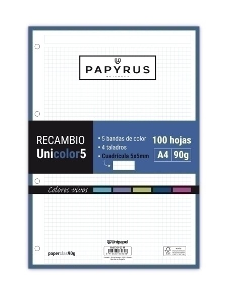 RECAMBIO PAPYRUS A4 100h MULTIT.CD.5 VIV - Pack de 24 unidades