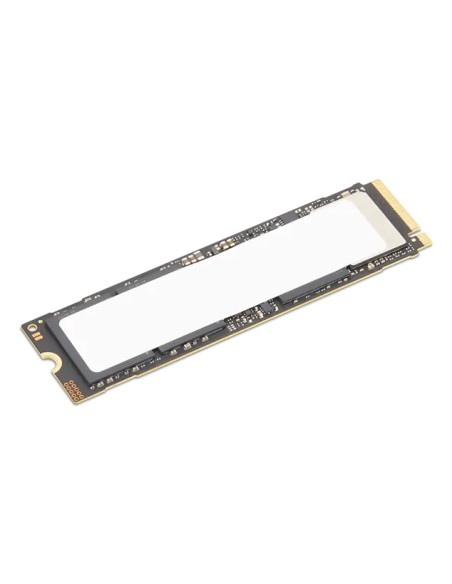 4XB1S30112 unidad de estado sólido 1 TB M.2 PCI Express 5.0 NVMe