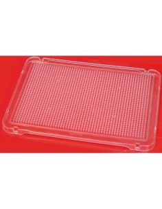 MNL SET 6 PEGS BOARD TRANS 31X21MM 31830