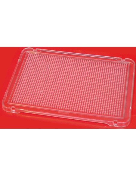 MNL SET 6 PEGS BOARD TRANS 31X21MM 31830