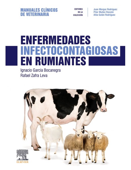 ENFERMEDADES INFECTOCONTAGIOSAS EN RUMIANTES