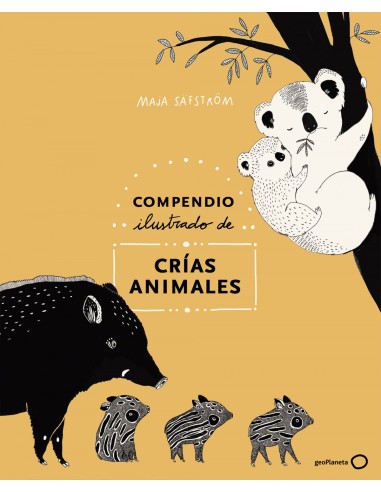 Compendio ilustrado de animales y sus crias