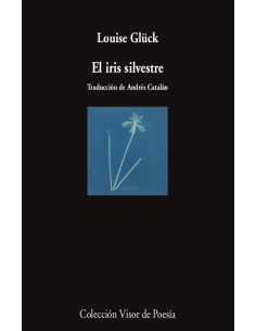 El iris silvestre