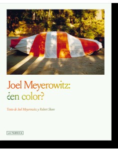 Joel Meyerowitz en color