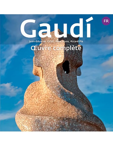 Gaudi introduction a son architecture