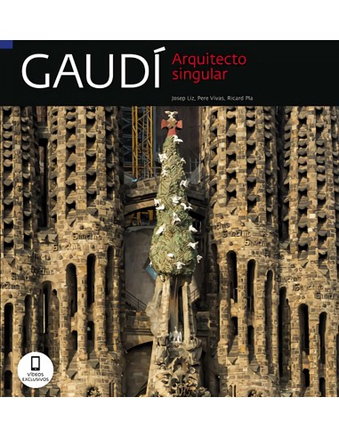 Gaudi arquitecto singular