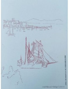 Breve historia de O Castro de Vigo