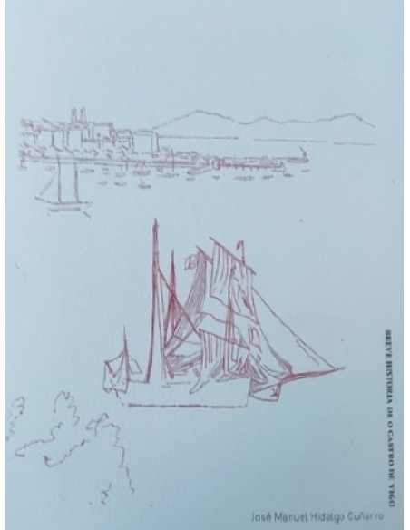 Breve historia de O Castro de Vigo