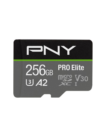 P-SDU256V32100PRO-GE memoria flash 256 GB MicroSDXC UHS-I Clase 10